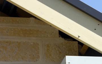 soffit repair Bowderdale